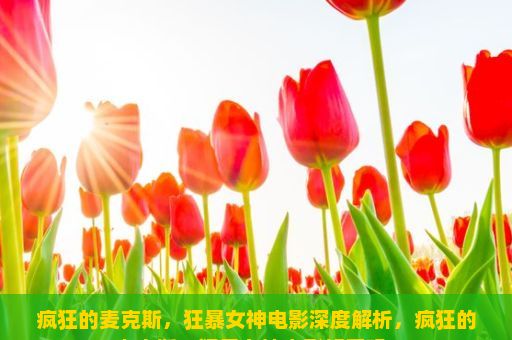 疯狂的麦克斯，狂暴女神电影深度解析，疯狂的麦克斯，狂暴女神电影好看吗？