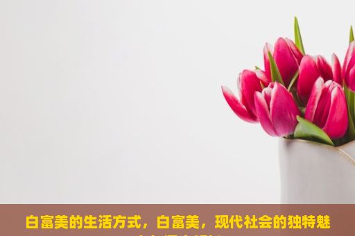 白富美的生活方式，白富美，现代社会的独特魅力与深度解析