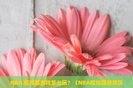 NBA 模拟器游戏怎么玩？（NBA模拟器游戏玩法详解）