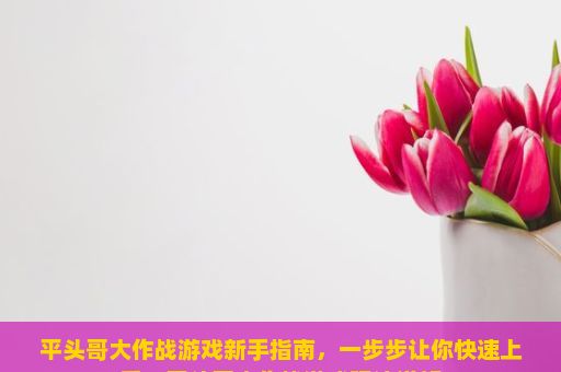 平头哥大作战游戏新手指南，一步步让你快速上手，平头哥大作战游戏玩法详解