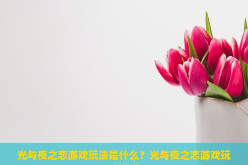 光与夜之恋游戏玩法是什么？光与夜之恋游戏玩法详解