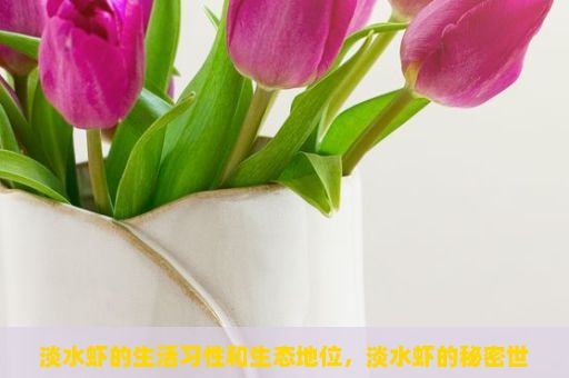 淡水虾的生活习性和生态地位，淡水虾的秘密世界，探索与发现