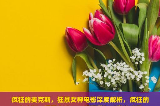 疯狂的麦克斯，狂暴女神电影深度解析，疯狂的麦克斯，狂暴女神，一部视觉与听觉的盛宴