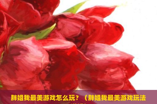 胖姐我最美游戏怎么玩？（胖姐我最美游戏玩法详解）