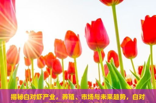 揭秘白对虾产业，养殖、市场与未来趋势，白对虾的营养价值与养殖技术