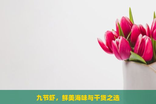 九节虾，鲜美海味与干货之选