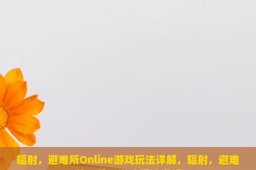 辐射，避难所Online游戏玩法详解，辐射，避难所Online游戏玩法详解