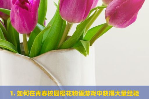 1. 如何在青春校园樱花物语游戏中获得大量经验？青春校园樱花物语游戏玩法详解