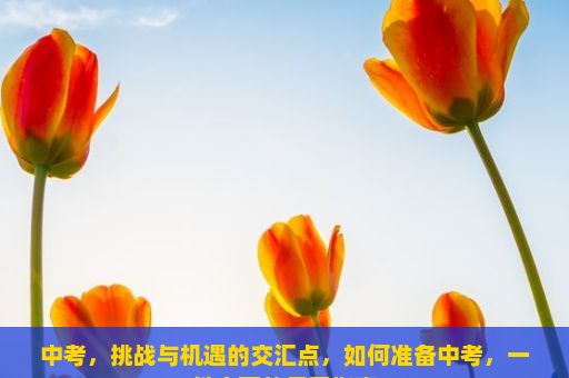 中考，挑战与机遇的交汇点，如何准备中考，一份全面的复习指南