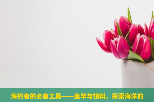 海钓者的必备工具——鱼竿与饵料，探索海洋的秘密，渔具的演变与重要性