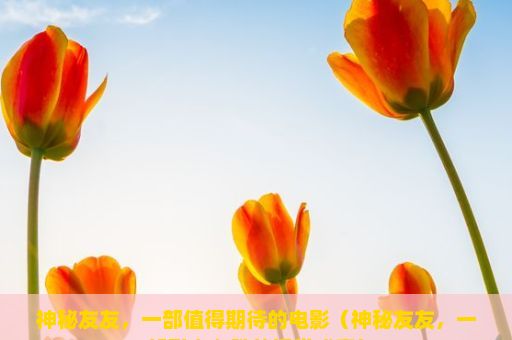 神秘友友，一部值得期待的电影（神秘友友，一部引人入胜的视觉盛宴）