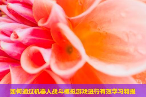 如何通过机器人战斗模拟游戏进行有效学习和提升？机器人战斗模拟游戏玩法详解