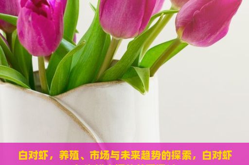 白对虾，养殖、市场与未来趋势的探索，白对虾与海鲜之间的关系探讨