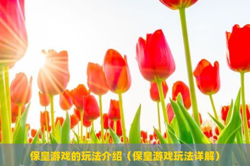 保皇游戏的玩法介绍（保皇游戏玩法详解）