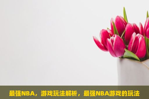 最强NBA，游戏玩法解析，最强NBA游戏的玩法是什么？