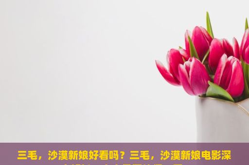 三毛，沙漠新娘好看吗？三毛，沙漠新娘电影深度解析，究竟是否值得一看？