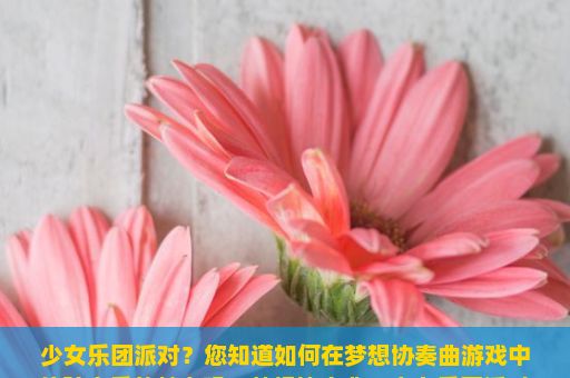 少女乐团派对？您知道如何在梦想协奏曲游戏中体验音乐的魅力吗？梦想协奏曲！少女乐团派对！游戏玩法详解