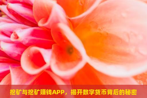 挖矿与挖矿赚钱APP，揭开数字货币背后的秘密