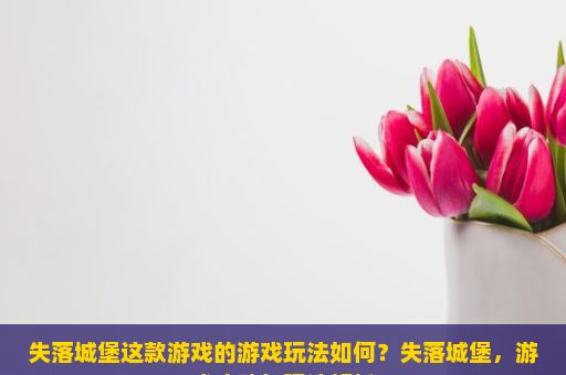 失落城堡这款游戏的游戏玩法如何？失落城堡，游戏攻略与玩法解析