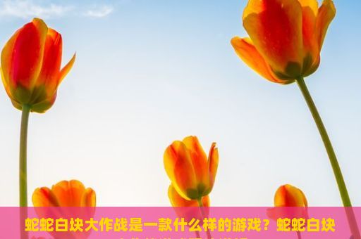 蛇蛇白块大作战是一款什么样的游戏？蛇蛇白块大作战游戏玩法详解