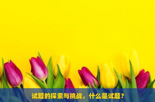 试题的探索与挑战，什么是试题？