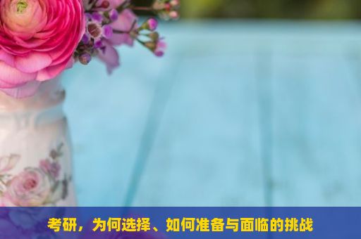 考研，为何选择、如何准备与面临的挑战