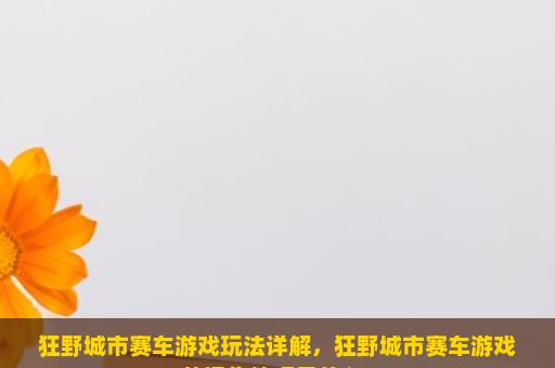 狂野城市赛车游戏玩法详解，狂野城市赛车游戏的操作技巧是什么？