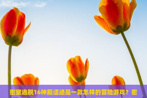 密室逃脱16神殿遗迹是一款怎样的冒险游戏？密室逃脱16神殿遗迹游戏攻略，如何玩转神秘解谜之旅