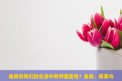 鱼具在我们的生活中有何重要性？鱼具，探索与垂钓的奥秘