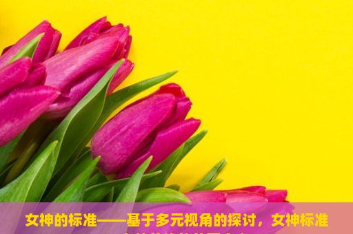 女神的标准——基于多元视角的探讨，女神标准，内外兼修的美丽定义