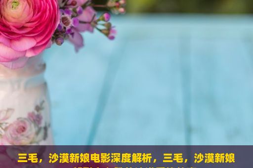 三毛，沙漠新娘电影深度解析，三毛，沙漠新娘，一部引人入胜的沙漠爱情故事？