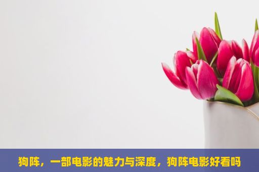 狗阵，一部电影的魅力与深度，狗阵电影好看吗？